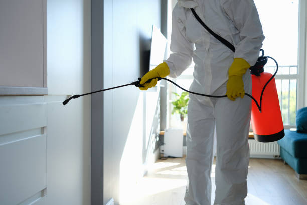 Best Kitchen Mold Remediation in Amberley, OH
